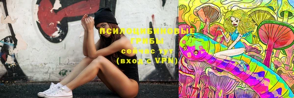 экстази Дмитров