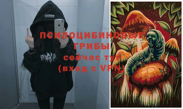 не бодяженный Дмитриев