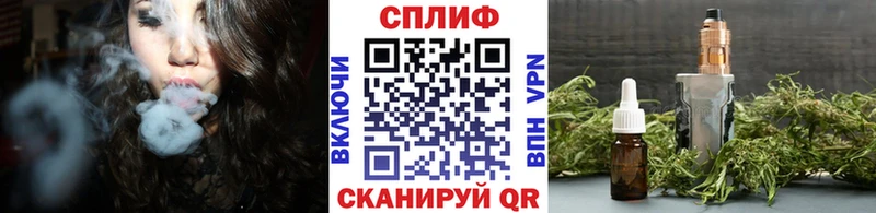 Бошки Шишки гибрид  продажа наркотиков  Новозыбков 